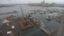 ./images/victoria/wharf/20240124/wharf20240124_091501.jpg