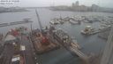 ./images/victoria/wharf/20240124/wharf20240124_092000.jpg