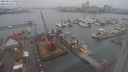 ./images/victoria/wharf/20240124/wharf20240124_093000.jpg