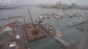 ./images/victoria/wharf/20240124/wharf20240124_093501.jpg