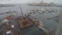 ./images/victoria/wharf/20240124/wharf20240124_101500.jpg