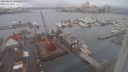 ./images/victoria/wharf/20240124/wharf20240124_105500.jpg