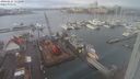 ./images/victoria/wharf/20240124/wharf20240124_111501.jpg