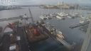./images/victoria/wharf/20240124/wharf20240124_115500.jpg
