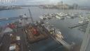 ./images/victoria/wharf/20240124/wharf20240124_121000.jpg