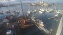 ./images/victoria/wharf/20240124/wharf20240124_131000.jpg