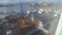 ./images/victoria/wharf/20240124/wharf20240124_135501.jpg