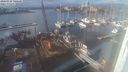 ./images/victoria/wharf/20240124/wharf20240124_140000.jpg