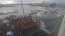 ./images/victoria/wharf/20240124/wharf20240124_143500.jpg