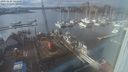 ./images/victoria/wharf/20240124/wharf20240124_144001.jpg