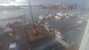 ./images/victoria/wharf/20240124/wharf20240124_153501.jpg