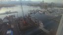 ./images/victoria/wharf/20240124/wharf20240124_163501.jpg
