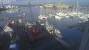 ./images/victoria/wharf/20240125/wharf20240125_092000.jpg