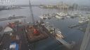 ./images/victoria/wharf/20240125/wharf20240125_104500.jpg