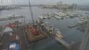 ./images/victoria/wharf/20240125/wharf20240125_110001.jpg