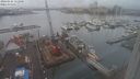 ./images/victoria/wharf/20240125/wharf20240125_111000.jpg
