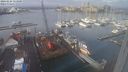 ./images/victoria/wharf/20240125/wharf20240125_113000.jpg