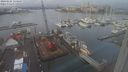 ./images/victoria/wharf/20240125/wharf20240125_114500.jpg