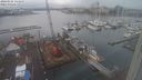 ./images/victoria/wharf/20240125/wharf20240125_142000.jpg