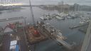 ./images/victoria/wharf/20240125/wharf20240125_155001.jpg