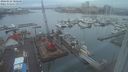 ./images/victoria/wharf/20240126/wharf20240126_080501.jpg