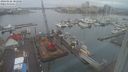 ./images/victoria/wharf/20240126/wharf20240126_082001.jpg