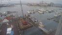 ./images/victoria/wharf/20240126/wharf20240126_091001.jpg