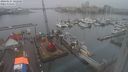 ./images/victoria/wharf/20240127/wharf20240127_102500.jpg