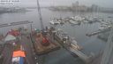 ./images/victoria/wharf/20240127/wharf20240127_103500.jpg