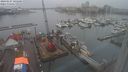 ./images/victoria/wharf/20240127/wharf20240127_105500.jpg