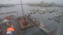 ./images/victoria/wharf/20240127/wharf20240127_111001.jpg
