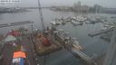 ./images/victoria/wharf/20240127/wharf20240127_125500.jpg