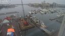 ./images/victoria/wharf/20240127/wharf20240127_134500.jpg