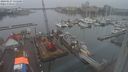./images/victoria/wharf/20240127/wharf20240127_135500.jpg