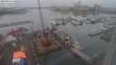 ./images/victoria/wharf/20240127/wharf20240127_140000.jpg