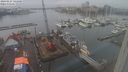 ./images/victoria/wharf/20240127/wharf20240127_141500.jpg