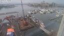 ./images/victoria/wharf/20240127/wharf20240127_142000.jpg