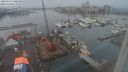 ./images/victoria/wharf/20240127/wharf20240127_142500.jpg