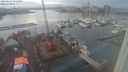 ./images/victoria/wharf/20240127/wharf20240127_151500.jpg