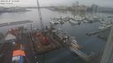 ./images/victoria/wharf/20240127/wharf20240127_155000.jpg
