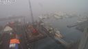 ./images/victoria/wharf/20240128/wharf20240128_084500.jpg