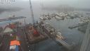 ./images/victoria/wharf/20240128/wharf20240128_090001.jpg