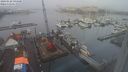 ./images/victoria/wharf/20240128/wharf20240128_094000.jpg