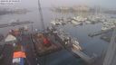 ./images/victoria/wharf/20240128/wharf20240128_095000.jpg