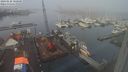 ./images/victoria/wharf/20240128/wharf20240128_100500.jpg