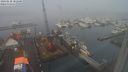 ./images/victoria/wharf/20240128/wharf20240128_101001.jpg