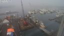 ./images/victoria/wharf/20240128/wharf20240128_101500.jpg