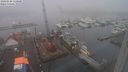 ./images/victoria/wharf/20240128/wharf20240128_110501.jpg