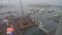 ./images/victoria/wharf/20240128/wharf20240128_111500.jpg
