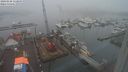 ./images/victoria/wharf/20240128/wharf20240128_113000.jpg